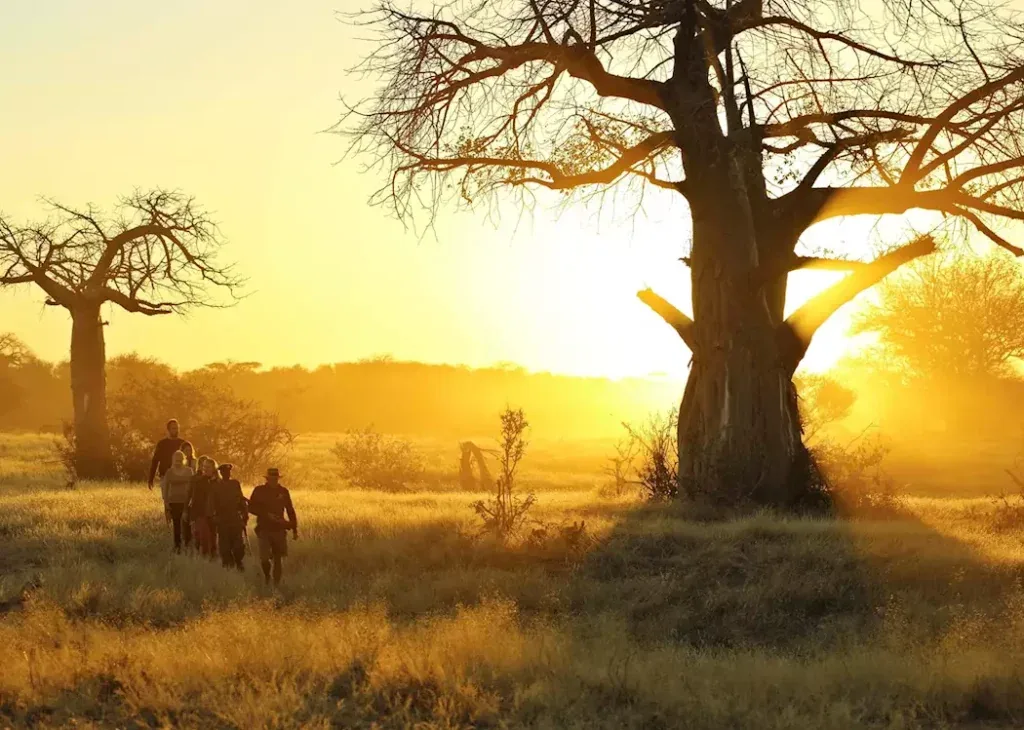 Ruaha