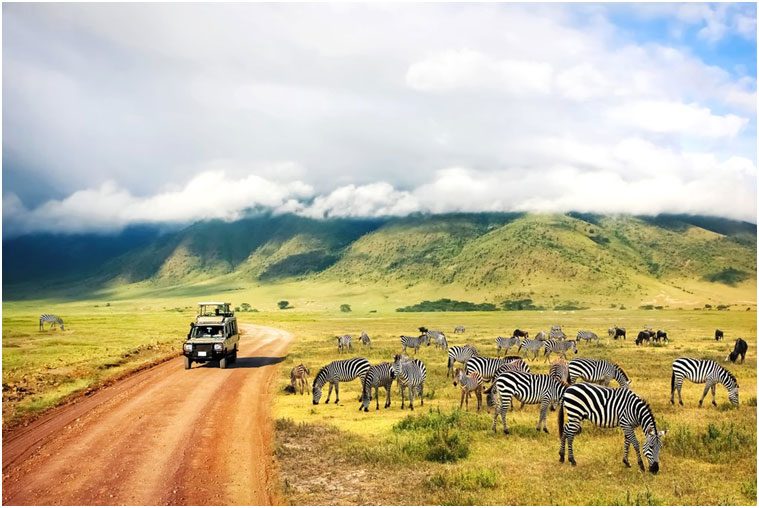Tarangire Day Tour
