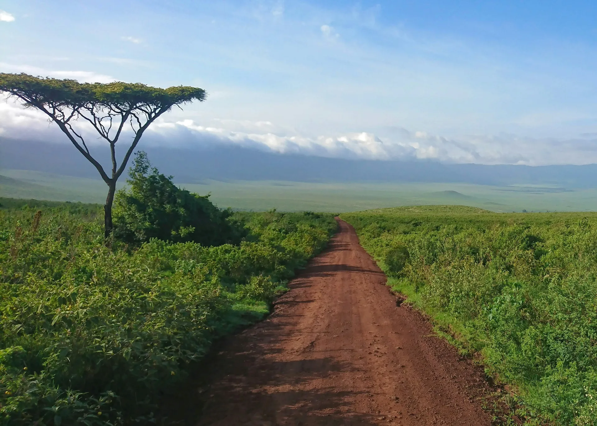 Tanzania Safari