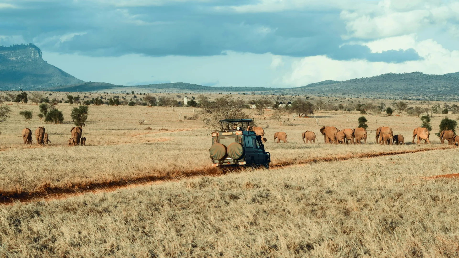 Tanzania Safari