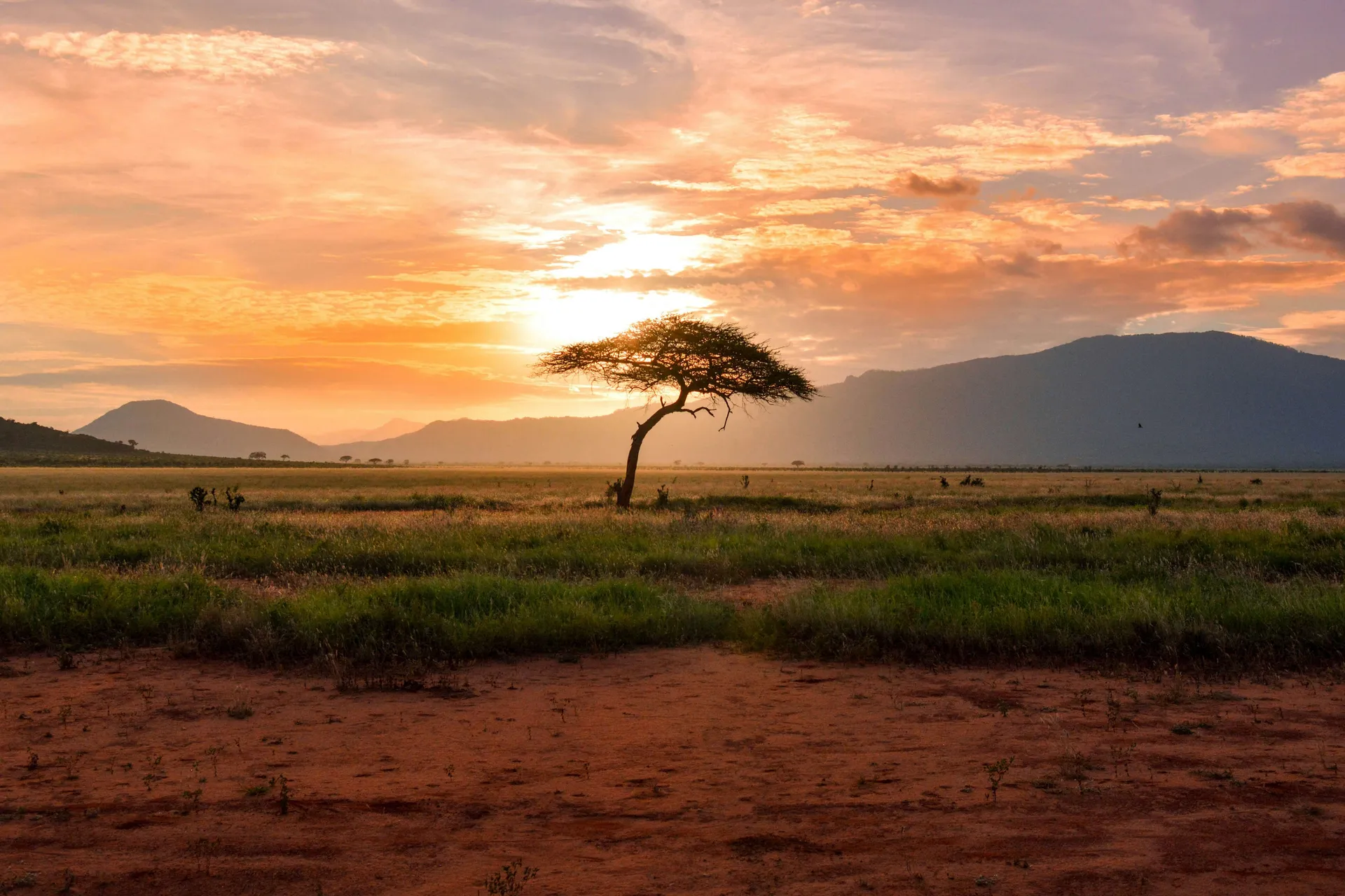 6 Days Honeymoon Safari