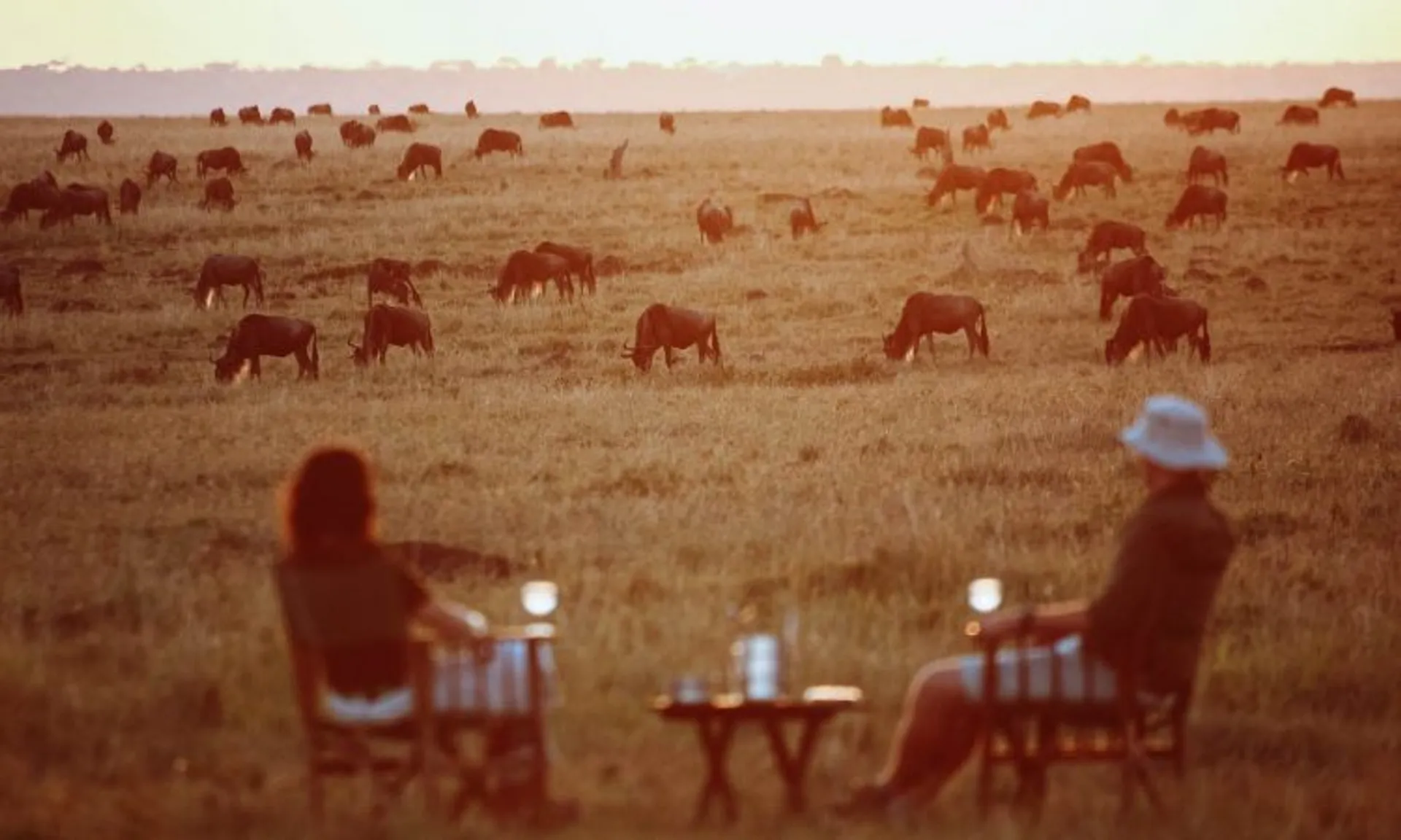 Sundowner experience