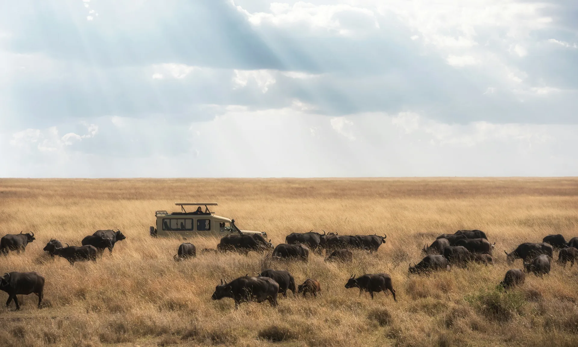 Maasai Culture