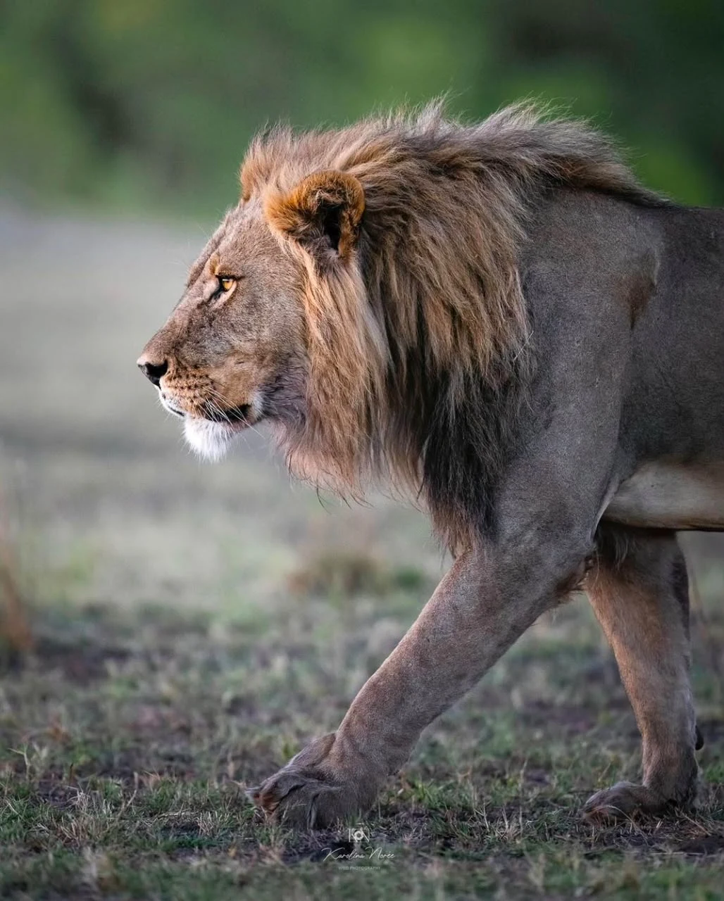 4 Days Discover Tanzania