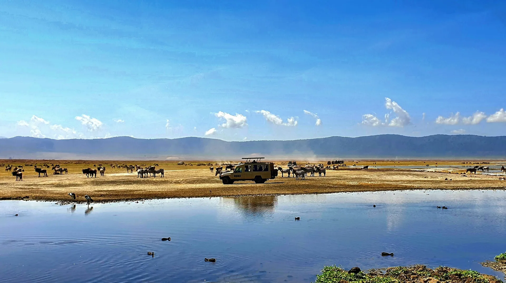 Tanzania Safari