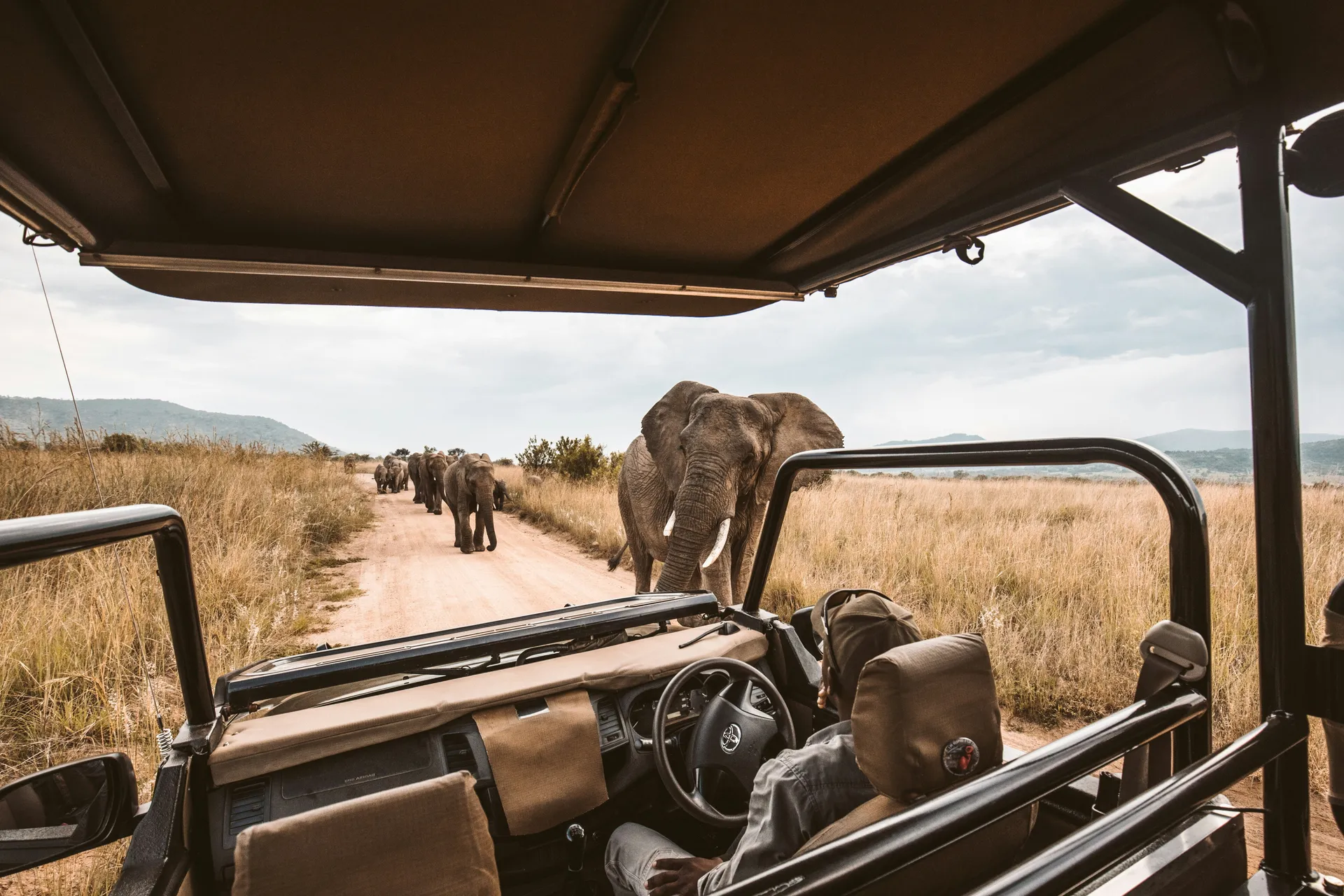 Tanzania Safari
