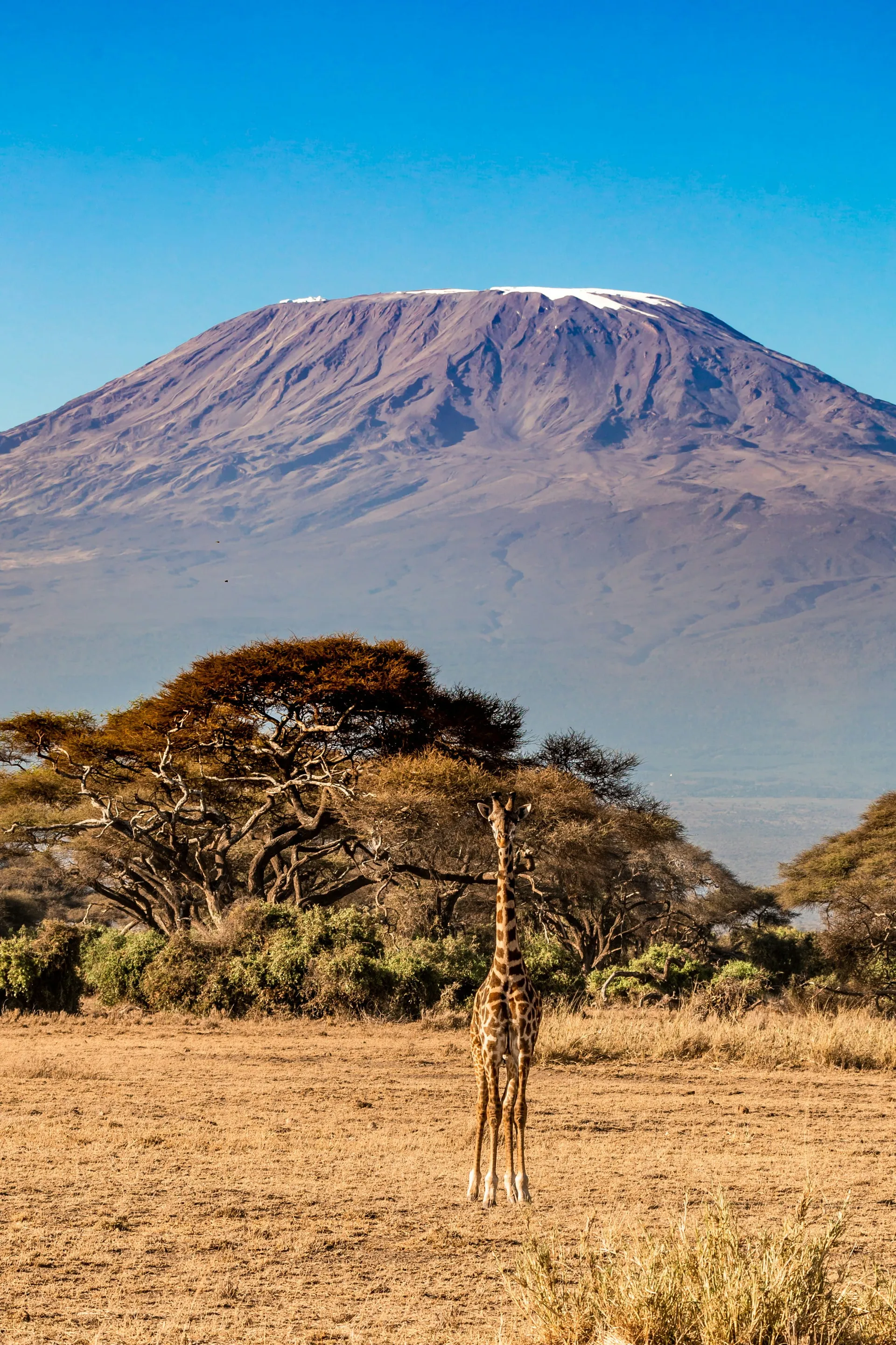 Zanzibar Honeymoon