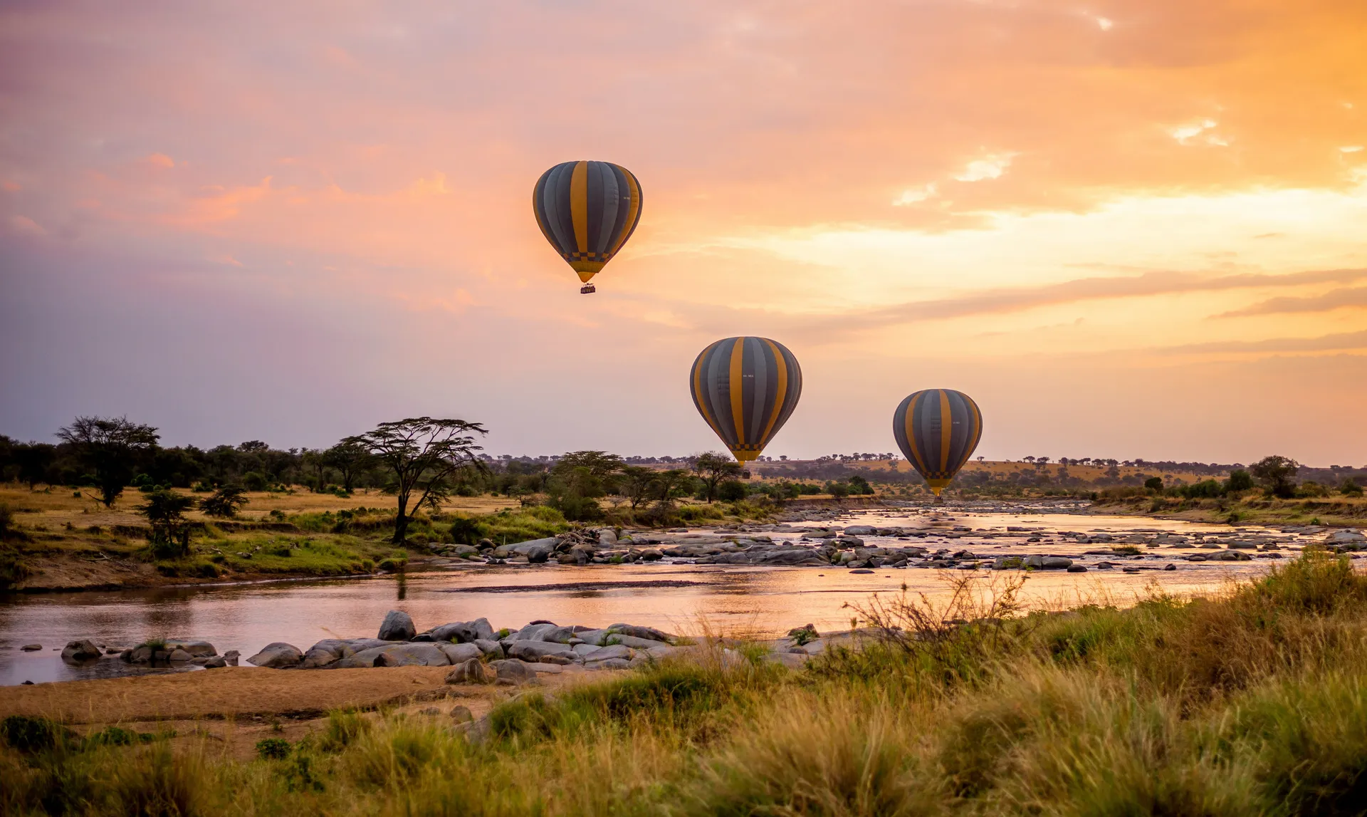Tanzania Safari