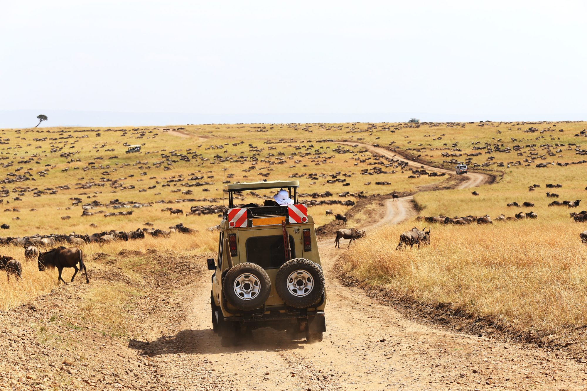 The Great Migration, Month by Month